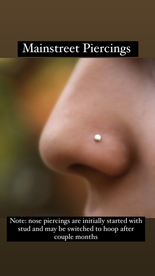 Nose piercing <br> (Jewelry included)