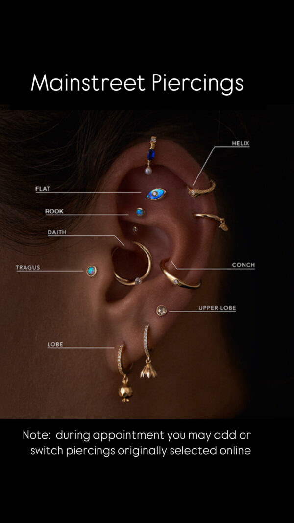 Conch Piercing <br> (Jewelry included)